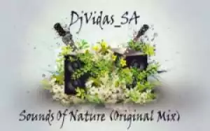 DJVidas SA - Sounds Of Nature (Original Mix)